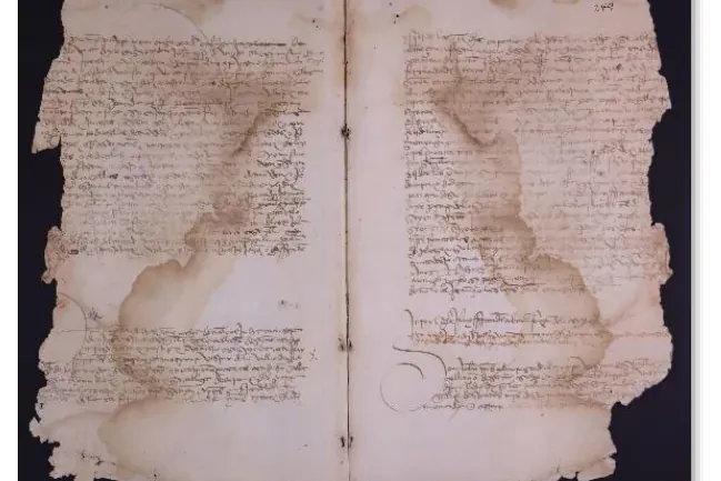 Notariatsvertrag von 1474, in dem sich Doña Leal verpflichtet, Ynés' linkes Auge zu heilen, digitalisierte Kopie