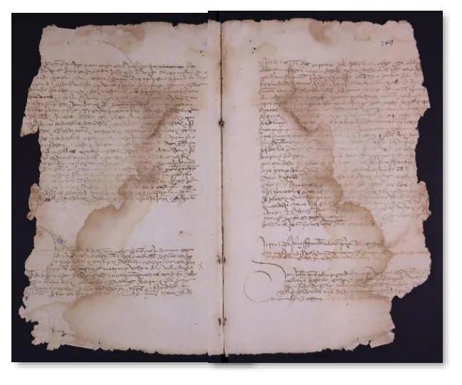 Notariatsvertrag von 1474, in dem sich Doña Leal verpflichtet, Ynés' linkes Auge zu heilen, digitalisierte Kopie